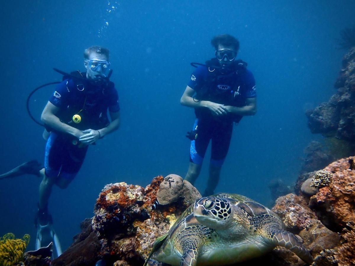 Alegria Dive Resort エクステリア 写真